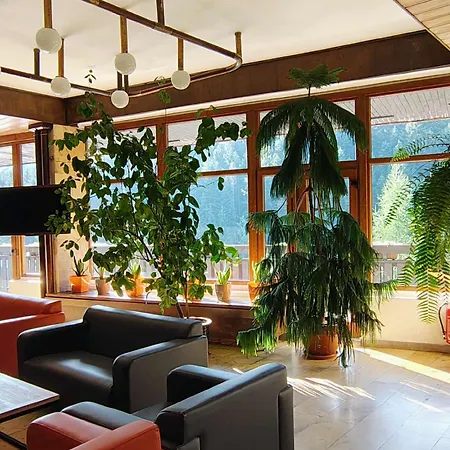 Hotel Hotel***nat Zdrój Piwniczna-Zdroj