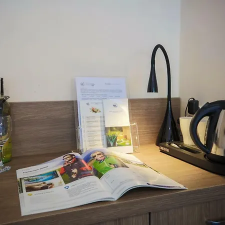 ホテル Hotel***nat Zdroj