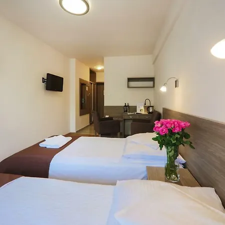 Hotel Hotel***nat Zdroj 3*